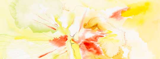 Marialuisa Tadei - watercolours - pastels